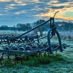 Sie kommen mit der Realität nicht klar Sie kommen mit der Realität nicht klar