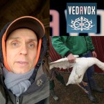 Wie fanden Tiere Weihnachten? Wie fanden Tiere Weihnachten?